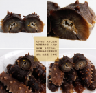 �W(w��ng)ُ����ՈС�ģ��e�����ЙC�����Į�