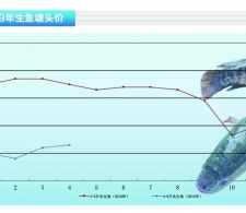 ���~�����~�r��С���ϝq������ˮ�aǰ�ء�2019��5�¿��Ј�څ��