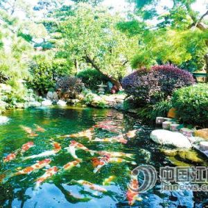 �I(y��)�߽��Խ��T�\���I(y��)�����и߶�·�� ������Ʒ�\��