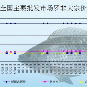 2013��8��19��ȫ����Ҫ���l(f��)�Ј��_���~�r������