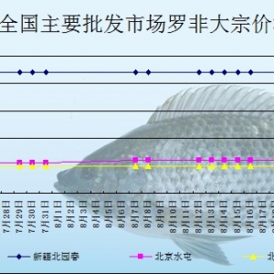 2013��8��21��ȫ����Ҫ���l(f��)�Ј��_���~�r������