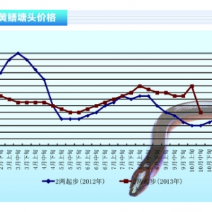 �S�X���p��(ji��)�^��r��Ѹ���µ� ����ˮ�a(ch��n)ǰ�ء�2013��11�¿��Ј�څ��