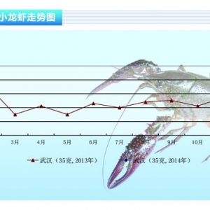 С���r����򷴳� С���r��؛����ˮ�aǰ�ء�2014��3�¿��Ј�څ��