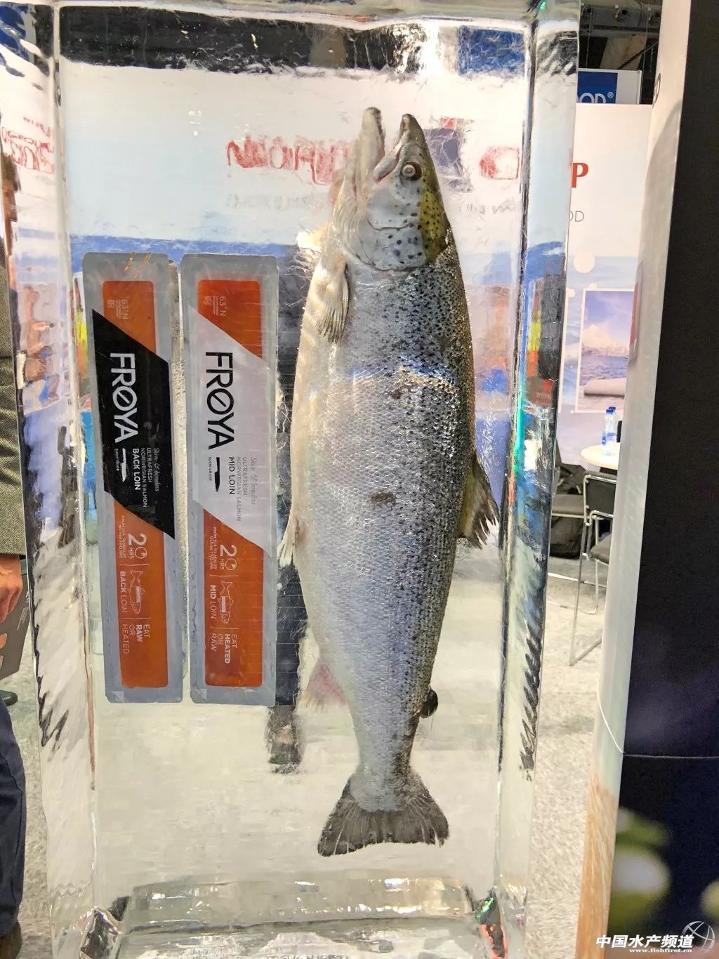 ֱ��ȫ���һ���rչ���F�����D+ҕ�l���u�������������rչ�����������