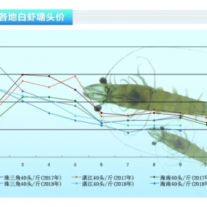 ���r���_�Lɽ���^�����﹝ǰ�r�r������������ˮ�aǰ�ء�2018��10�¿��Ј�څ��