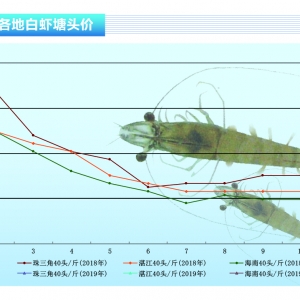 ���r���r�rһ���ٵ�������ˮ�aǰ�ء�2019��3�¿��Ј�څ��