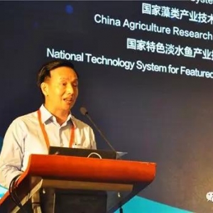 ꐵ�����Θ���ˮ�a�Bֳ�rֵ�