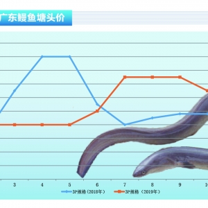 ���~���������l(f��)�r�ϝq������ˮ�aǰ�ء�2019��12�¿��Ј�څ��