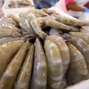 12��9������ʽ��������϶ࠖ���r�Բ�װ߲������ڳɱ�������