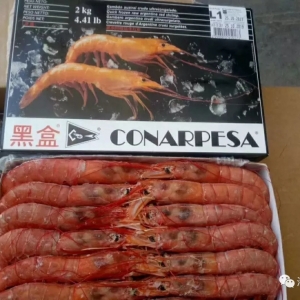 ��ߝq30Ԫ/��������͢�t�rͻ��600Ԫ��