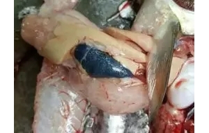 �����Ч��Q�Bֳ�^���г��F�ĸ��c���}��