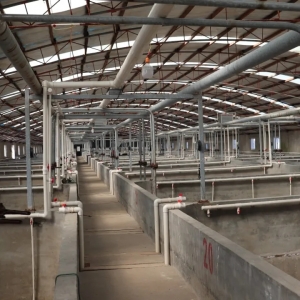 �����r�����ɞ��˭h�����؅^���ܶ��Bֳ�����F