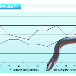 �S�X���~(y��)�r(ji��)����(d��ng)���@�����л�S��(w��n)������ˮ�a(ch��n)ǰ�ء�2021��1�¿��Ј�(ch��ng)څ��(sh��)