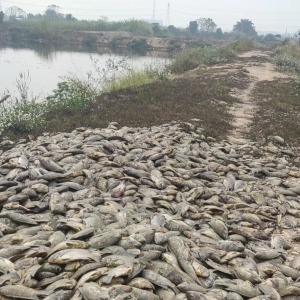 늾���������ʮ�f���~ȫ܊���]�l���I�Σ�