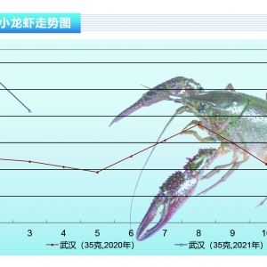 С���r���r������Ӹ߲��£���Ʒ�r���m�𱬡�����ˮ�aǰ�ء�2021��4�¿��Ј�څ��