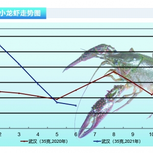 С���r��ֹ���ϝq�����B�r�_ʼ�l��������ˮ�aǰ�ء�2021��7�¿��Ј�څ��