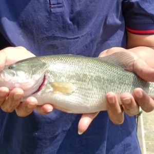 �����|��ô�B���ܸ�ٍ�X��