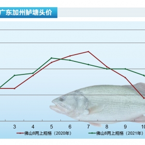 �����|��ȫ��ȱ���~���V�|؛��������Ј�������ˮ�a(ch��n)ǰ�ء�2022��1�¿��Ј�څ��