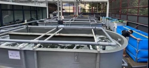 �������B(y��ng)�r���ց��ˣ��Ј�Ŀ��(bi��o)���غ�����У�